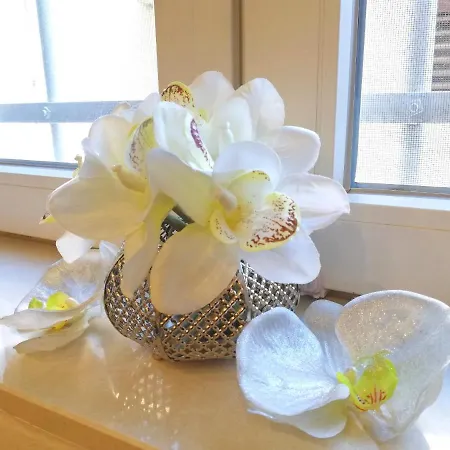 Apartment Elegnace Old Town *
